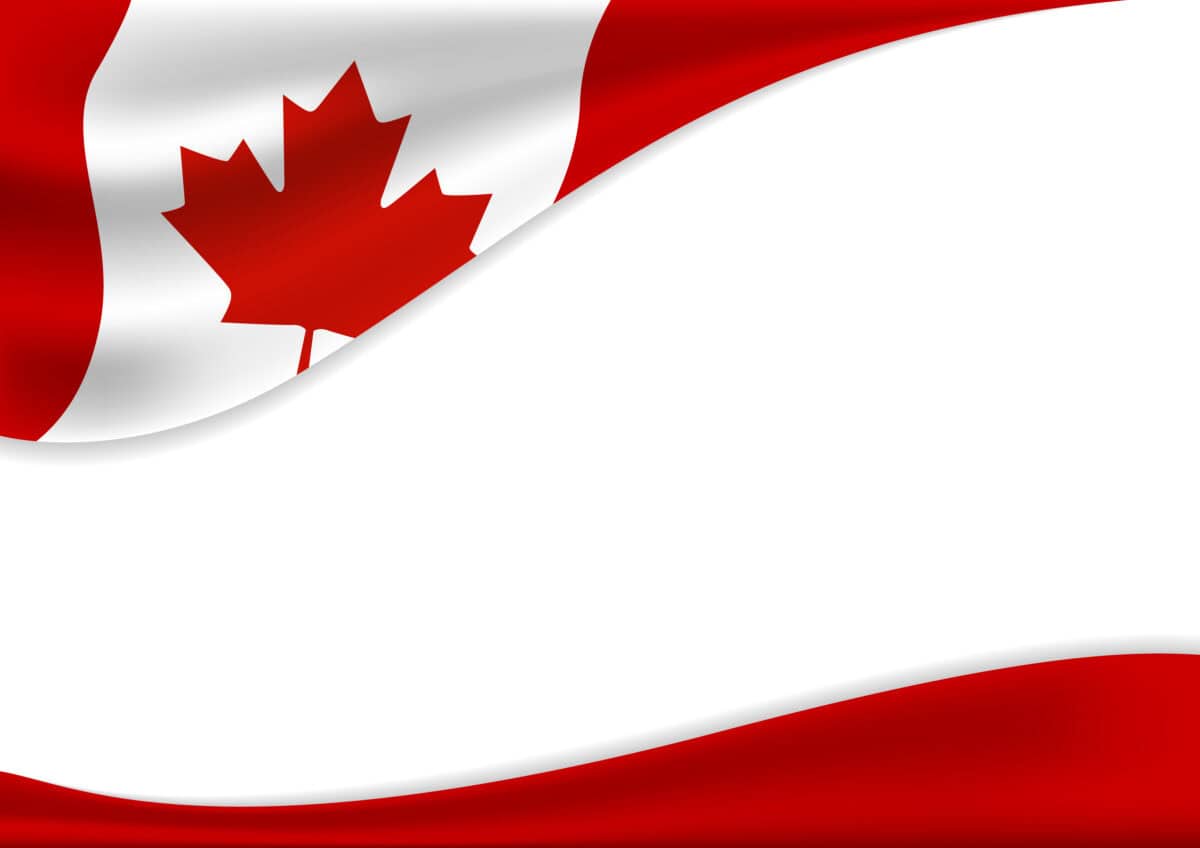 The Canadian Companies Thriving Despite Trade Tensions