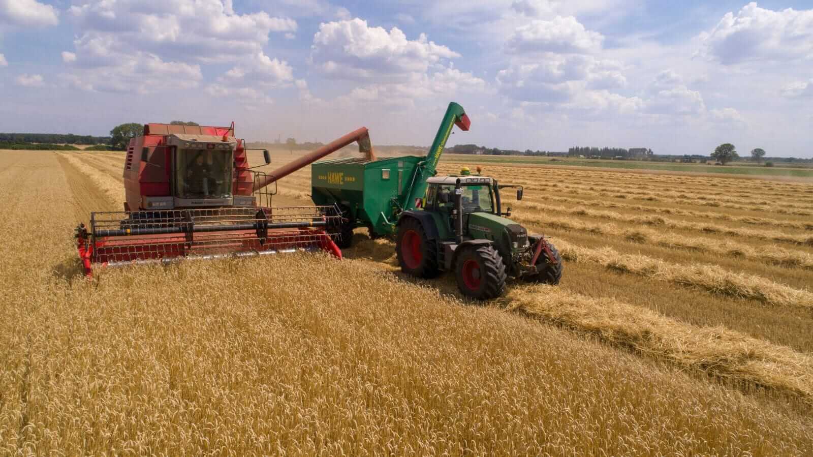 Wheat Showing Early Thursday Gains