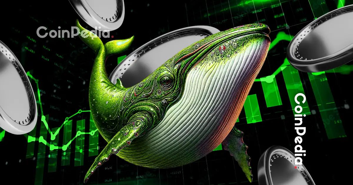 These 5 Altcoins Are Seeing the Biggest Whale Accumulation Right Now
